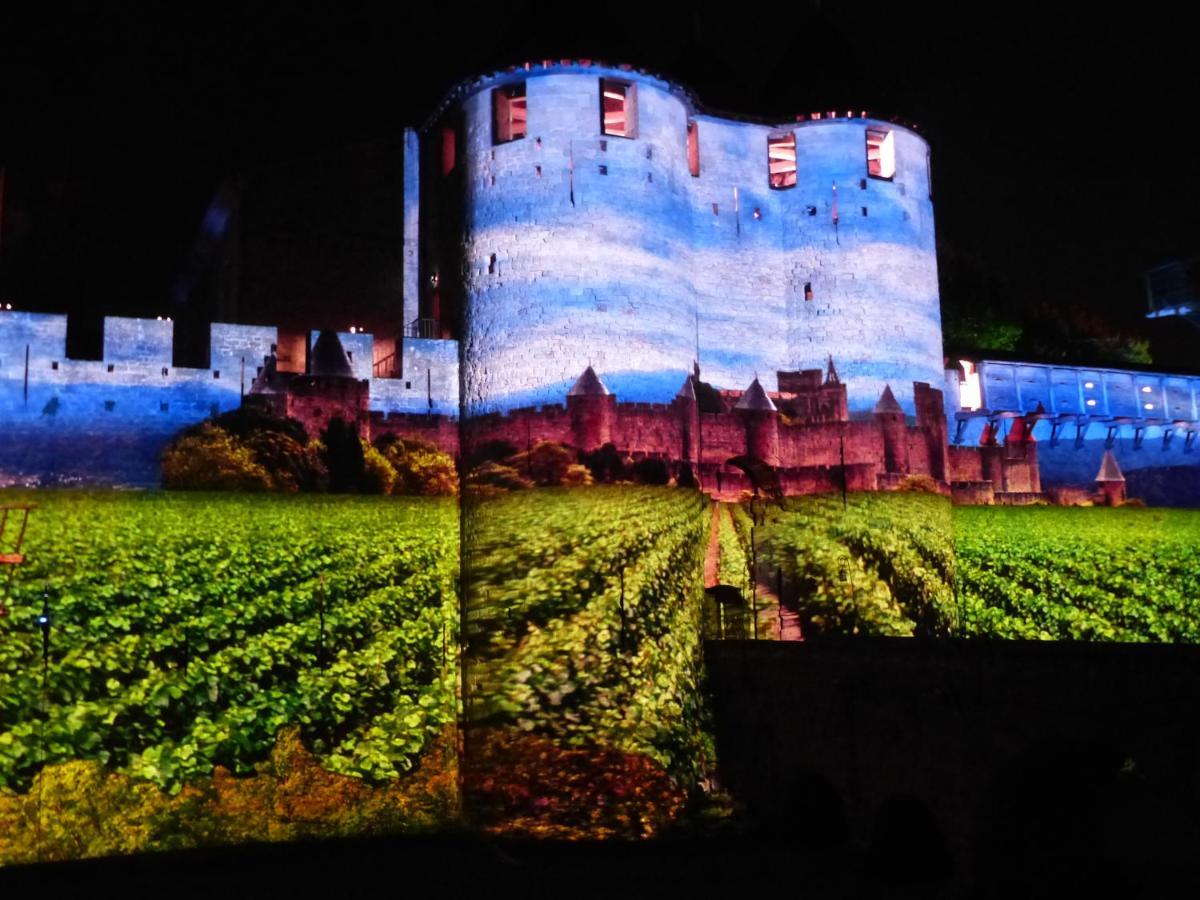 Maison Des Remparts Nichee Sous La Cite 카르카손 외부 사진